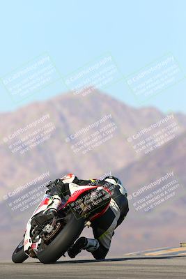 media/Jan-13-2024-SoCal Trackdays (Sat) [[9c032fe5aa]]/Turn 9 Backside (110pm)/